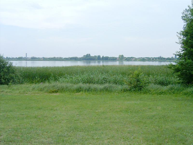 szate (190).jpg